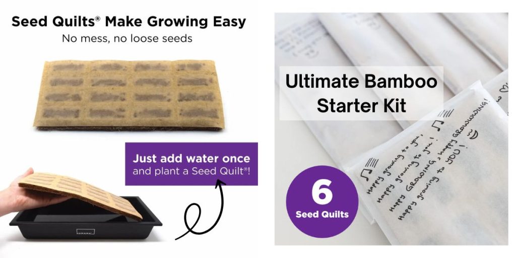 Are indoor garden systems worth it