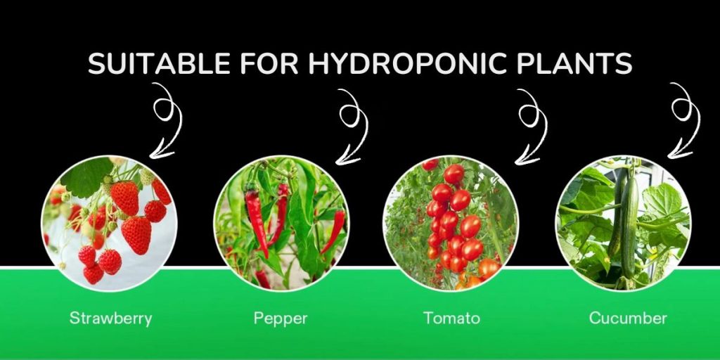 Best indoor garden system for tomatoes