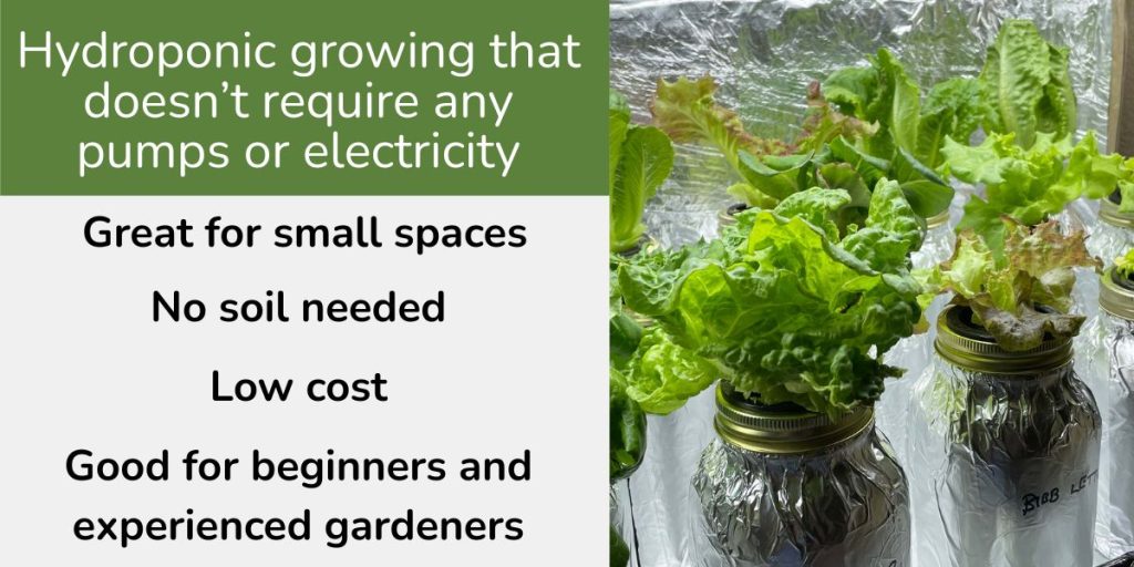 Best indoor garden system for vegetables