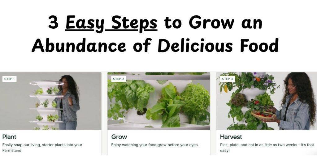 Best indoor garden systems