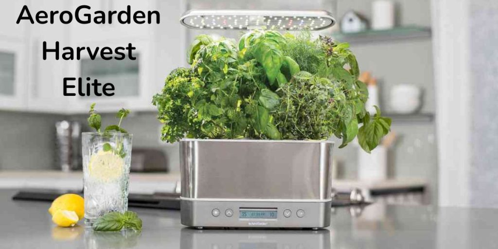 Best indoor grow setup for beginners