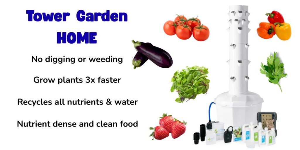 Best indoor growing seeds