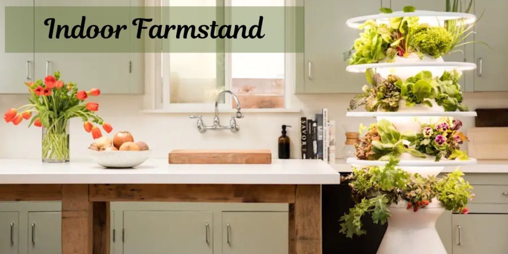 Best indoor planting system