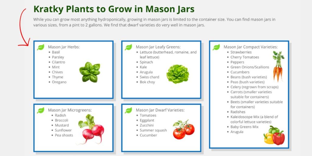 Complete indoor hydroponic grow system