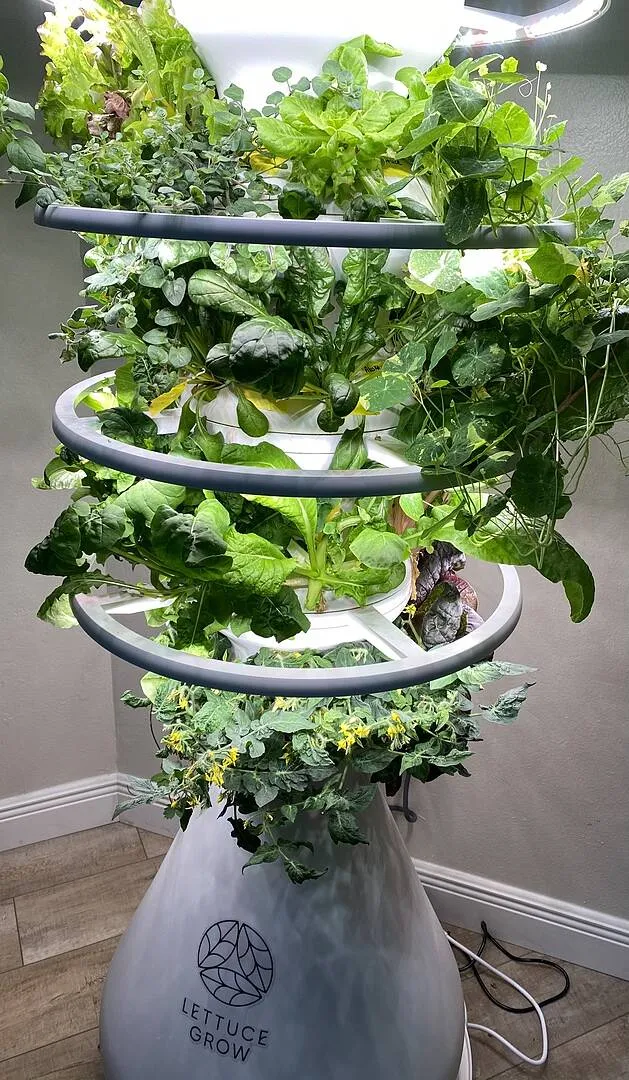 Indoor Farmstand by Lettuce Grow