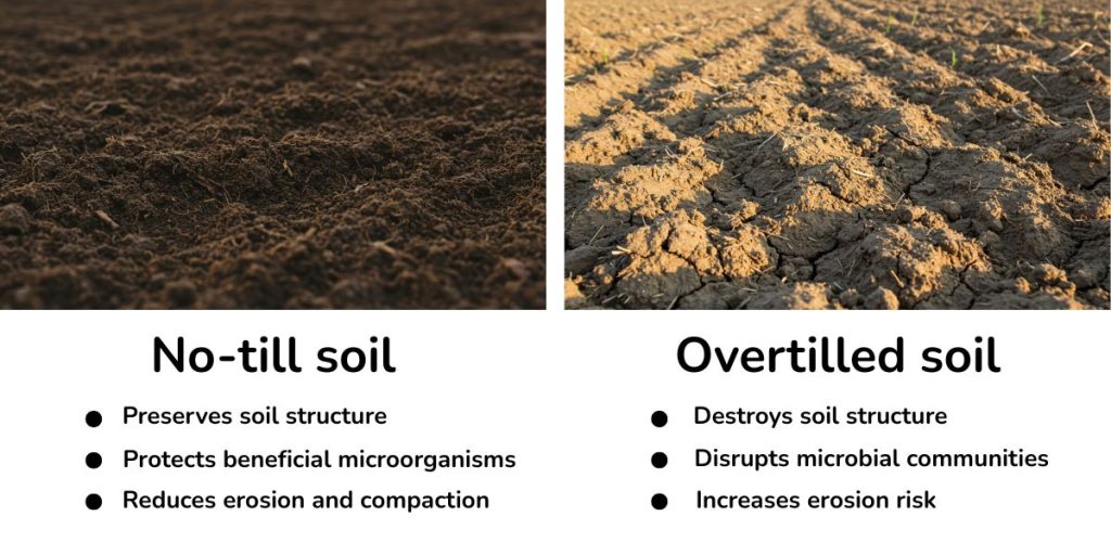 Visual and text comparison of no-till soil vs. overtilled soil.