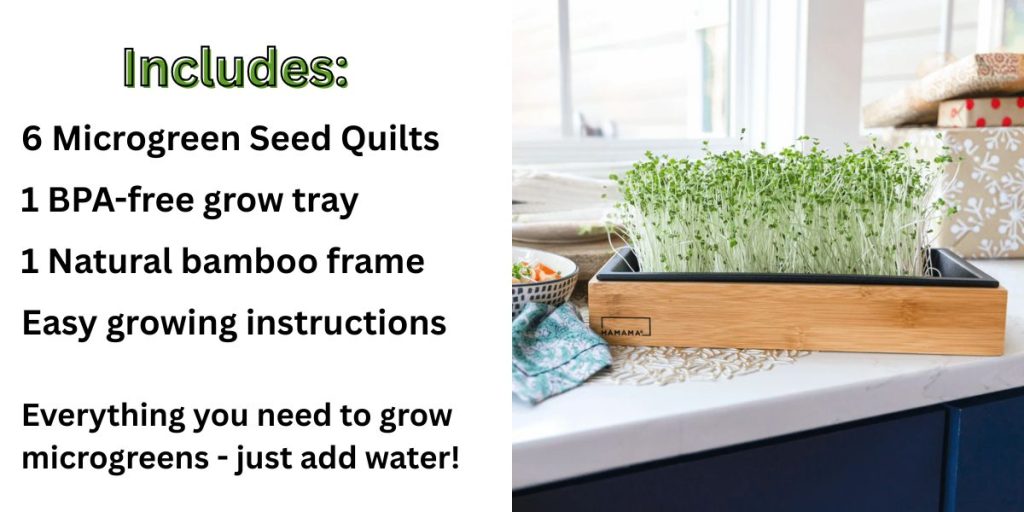 What is the best indoor plant grow system
